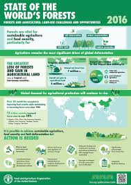 Fao Statistics On Twitter Deforestation Soil Conservation Environmental Education