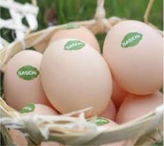 Trứng Gà Thảo Dược Saschi Hộp 10 quả – Siba Food Hà Nội