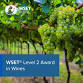 WSET Level 2 Award in Wines | 6 week In-Person event image