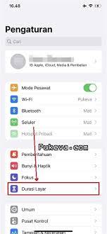 Cara Melihat Aplikasi yang Disembunyikan di iPhone | PUKEVA