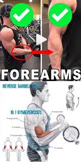 Pin On Biceps Triceps