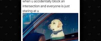 The Best Drivers Memes Latinamerican Post