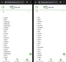 Quer um nome para o Falcão do Free Fire? Veja como gerar nicks criativos