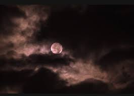 Estrella Aranda Osoijo