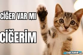 Ciger Var Mi Cigerim Komik Capsler Eglenceli Icerikler