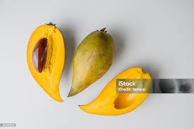 Image result for Pouteria