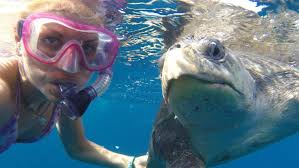 Even pugs deserve love