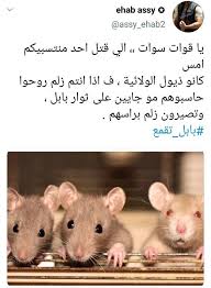 قوات سوات القوات القذرة من زمن الملعون المالكي ترا الغربية حقها من كانت تسميهم الفرقة القذرة لانهم عبارة عن قوة حزبية لا اكثر قدرتهم على المت animals hamster