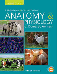 Anatomy And Physiology Of Domestic Animals 2nd Edition Wiley