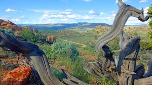 Maybe you would like to learn more about one of these? Almont Co Vacation Rentals Cabin Rentals More Vrbo