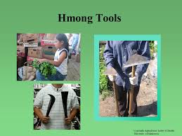 Besides your basic garden tools mentioned above, think about how you plan to water your plants. Working With Hmong Farm Families Ruth Rasmussen Richard Syversen John Shutske Michele Schermann Copyright Agricultural Safety Health University Of Minnesota Ppt Download