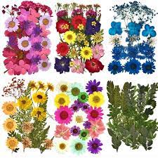 Check spelling or type a new query. Buy Online Diy Dried Flowers Resin Mold Fillings Uv Expoxy Flower For Nail Art Pressed Flowers For Home Decor Handicraft Alitools
