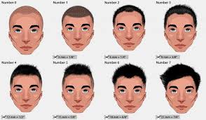 What are haircut the lengths? Pin On Clipper Cuts