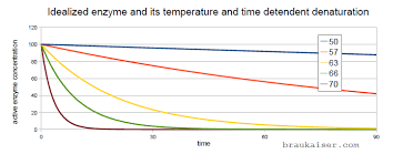 How Fast Do Enzymes Denature