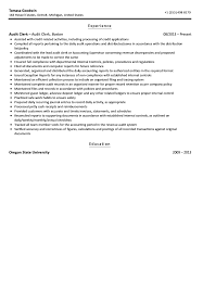 audit clerk resume sample velvet jobs