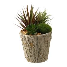 Find the perfect potted cactus stock photos and editorial news pictures from getty images. D W Silks Easter Grass And Succulents Desk Top Plant In Planter Wayfair
