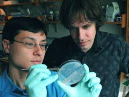 The games microbes play