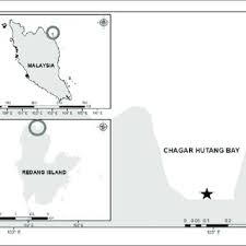 Maybe you would like to learn more about one of these? Pdf Oceanic Dispersal Model Of Green Turtle Hatchlings In The South China Sea