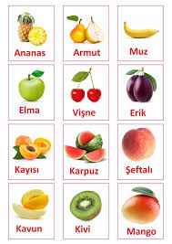 0 2 yas bebekler icin kelime kartlari kartlar hayvan kartlari turkce