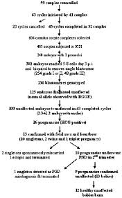 Flow Chart Summarizing The Main Stages Of Pgd Cycles The