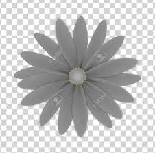 Simple floral pattern transparent background. Simple Flower Of Grey Colors On A Transparent Background Royalty Free Cliparts Vectors And Stock Illustration Image 111520495