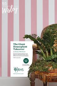The Giant Houseplant Takeover In 2020 House Plants Indoor Gardens Family Days Out
