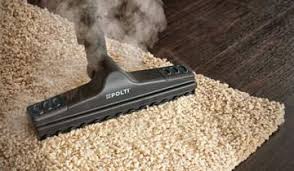 If you use vaporetto lecoaspira only as a vacuum cleaner only, the power is 1100w for fav20/70 models and 1350w for the other ones. Vaporetto Lecoaspira Fav30 Integrated Steam And Vacuum System Polti