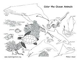 Animal Habitat Coloring Pages Fresh Ocean Animals Coloring Pages And Animal Habitat Coloring Pages An Animal Coloring Pages Ocean Coloring Pages Coloring Pages