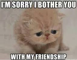 I M Sorry I Bother You With My Friendship Picture Quotes Crush Memes Funny Meme Pictures You Funny