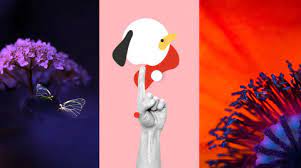 So today, we will share with you some tricks on how to download free shutterstock images and how to download shutterstock images without watermark. Shutterstock Free Trial Try Shutterstock For Free