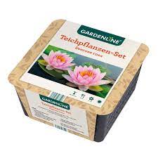 Leistungsfähige teichpumpe für den dauereinsatz unter wasser konzipiert. Gardenline Teichpflanzen Set Aldi Sud