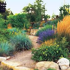 You Ll Be Inspired By These Creative And Inviting Garden Paths Sunset Drought Tolerant Landscape Landscape Design Xeriscape