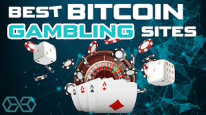 Litecoin games will, therefore, be one of the leading growth foci for cryptocurrency casinos going forward, and players looking for the best brands to enjoy the advantages of litecoin casino should be looking at solid, early adopters. 4 Best Bitcoin Gambling Sites 2021 Tested Cryptocurrency Casinos