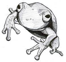 Find over 100+ of the best free drawing images. How To Draw Anything You See Feltmagnet