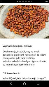 Sevim Cakici Adli Kullanicinin Saglik Panosundaki Pin Saglik Cil Tirnak