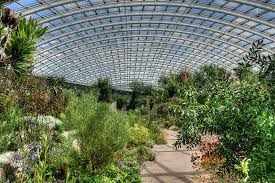 Came from botanic gardens and research. Prefer This To The Eden Project National Botanic Garden Of Wales Llanarthney Traveller Reviews Tripadvisor