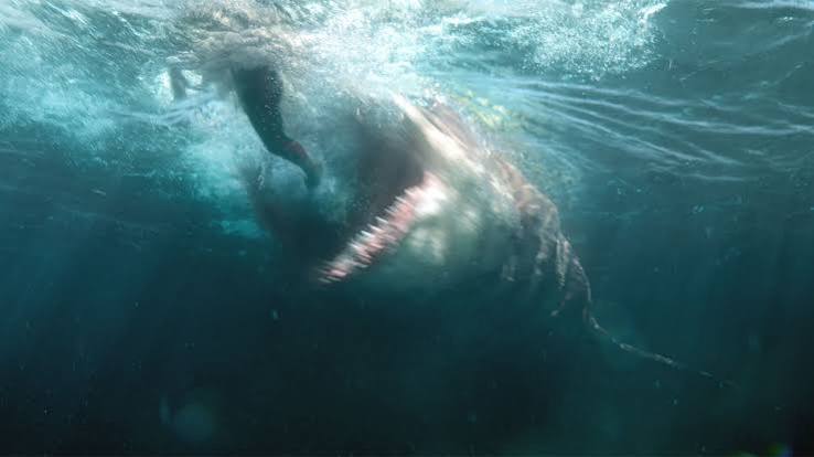 Could the star of The Meg really bite a ship in half? We took a  paleobiologist to the new movie to find out | Science | AAAS