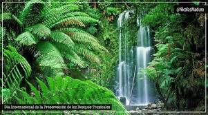 Corpachar en armonía y coherencia. Jefe De Estado Insta A Buscar Alternativas Ante La Explotacion Indiscriminada Del Capitalismo Responsable De La Perdida De La Biodiversidad En La Pachamama