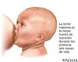 Nombres para niños, nombres para niñas, nombres de hombre, nombres de mujer, nombres giegos, nombres italianos, nombres catalanes, nombres franceses, significado de los nombre Cronologia Desarrollo Neurofisiologico Y Alimentacion De 0 6 Anos