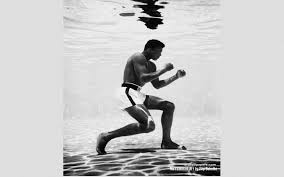 43 Muhammad Ali Hd Wallpaper On Wallpapersafari In this celebrity collection we have 21 wallpapers. 43 muhammad ali hd wallpaper on