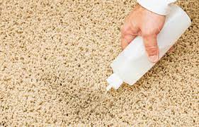 Comment nettoyer les tapis de la maison sans utiliser des produits chimiques ? Comment Enlever Une Tache De Cafe Sur Son Tapis Tout Pratique