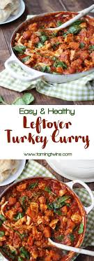 Turkey Curry Recipe How To Love Your Christmas Leftovers Recipe Curry Recipes Turkey Curry Turkey Curry Recipe