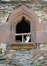 O Romeo Romeo Wherefore Art Thou Romeo William Shakespeare Romeo And Juliet Act Ii Scene 2 Cat Window Looking Out The Window Windows