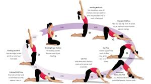 Kneeling Sun Salutations Yoga Moves Postnatal Yoga Yoga Body