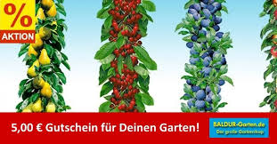 Top baldur garten rabatt im juli 2021: Baldur Garten Gutschein 2021 Gultiger 4 00 Und 50 Rabatt