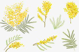 Small Yellow Flower Vector Watercolor Hand Painted Young Leaves Png Transparent Clipart Image And Psd File For Free Download Yellow Flowers Painting Small Yellow Flowers Wreath Watercolor