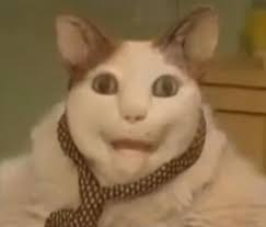 Werewolf form looks weird??? : r/thesims