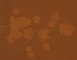 stewardship report 2010.indd 1 8/31/2010 11:06:15 AM