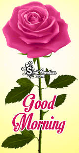 Understanding its importance, here we have gathered some beautiful good morning animation, gif images with some meaningful quotes and messages. Download Gif Good Morning Images Download Png Gif Base In 2021 Good Morning Images Good Morning Images Hd Good Morning Wishes Gif