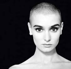 Erik Steele (@erik__steele) • Instagram photos and videos